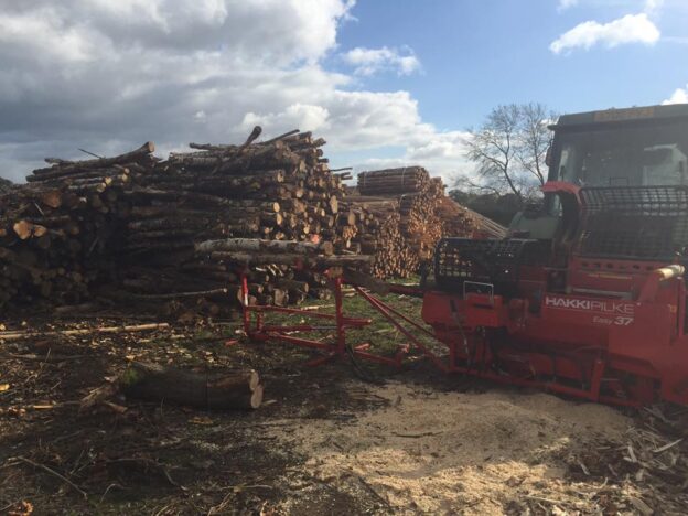 1.5 Cubic Metre Premium Oak & Ash Logs £200.00 - Image 3